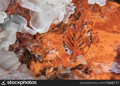 Ice and leaf under iron loaded water in the nature