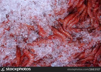 ice and mediterranean shrimp on market pattern background