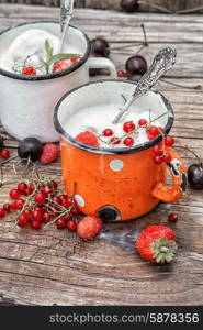 ice cream with fresh fruit. summer dessert of ice cream and fresh berries in an iron circle.Selective focus