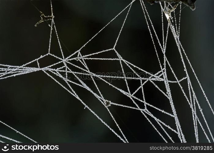 Ice crystals frozen on e spider web in close up.