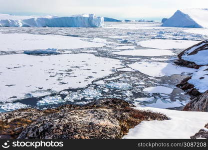 Ice fields and drifting Icebergs at the Ilulissat fjord, North Greenland