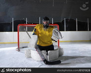 ice hockey goalkeeper player on goal in action