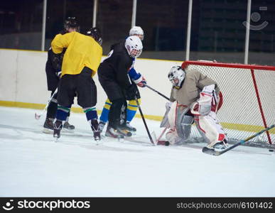 ice hockey player in action kicking with stick