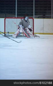 ice hockey player in action kicking with stick