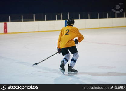 ice hockey player in action kicking with stick