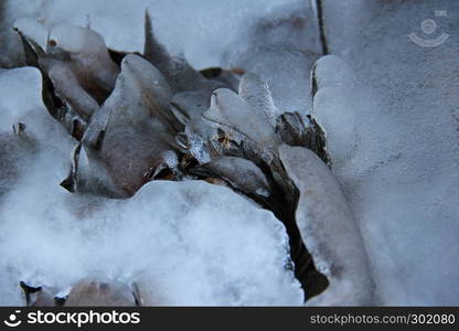 Ice structure outside on objects