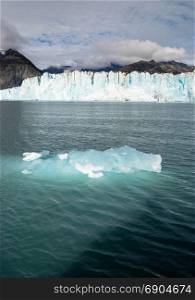Iceberg Glacier Ice Water Surface Marine Landscape Aquatic Wilderness