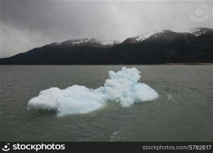 Iceberg in Lake Argentino, Perito Moreno Glacier, Los Glaciares National Park, Santa Cruz Province, Patagonia, Argentina