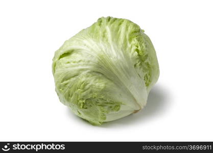 Iceberg lettuce on white background