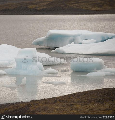 Icebergs floating offshore in a glacial lake
