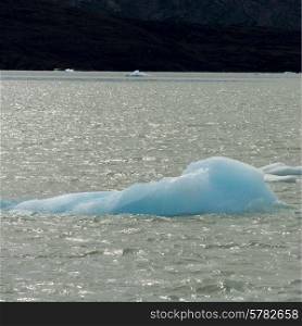 Icebergs in Lake Argentino, Los Glaciares National Park, Santa Cruz Province, Patagonia, Argentina