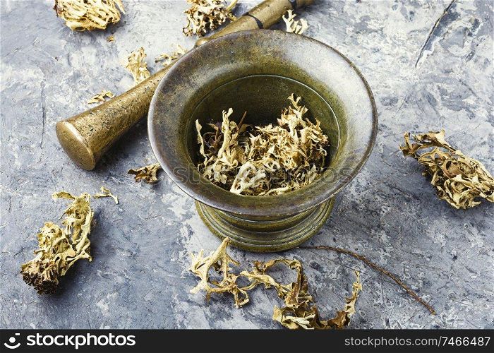 Icelandic moss.Dried Icelandic moss in antique mortar.Herbal medicine. Icelandic dry moss