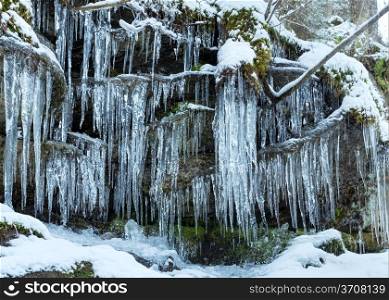 Icicles hanging from trees root on rocky hill