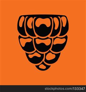 Icon of Raspberry. Orange background with black. Vector illustration.
