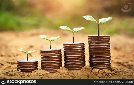 idea plant with money growing on soil. concept finance and accounting