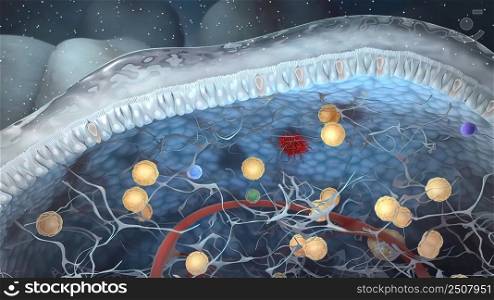 Identification of the ILC progenitor cell. Innate lymphoid cells are the most recently discovered family of innate immune cells. 3D illustration. Innate lymphoid cells that secrete effector cytokines and are the innate counterparts of T cells.