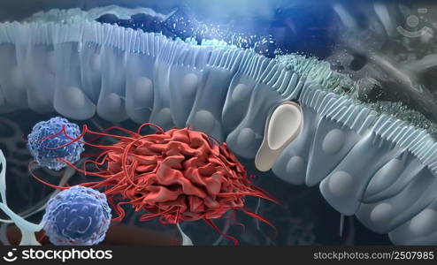 Identification of the ILC progenitor cell. Innate lymphoid cells are the most recently discovered family of innate immune cells. 3D illustration. Innate lymphoid cells that secrete effector cytokines and are the innate counterparts of T cells.