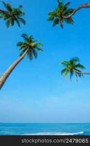 Idylic ocean beach with hanging palm trees at tropical island