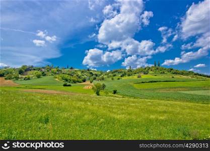 Idyllic africultural green landscape of Croatia, region of Prigorje
