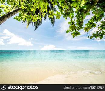 Idyllic beach background. Idyllic beach - tropical summer resort day landscape. Idyllic beach background