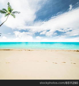 Idyllic beach background. Idyllic beach - tropical summer resort day landscape. Idyllic beach background