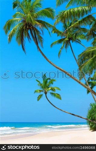 Idyllic clean tropical beach with white ocean sand and palm trees over the water on remote island resort