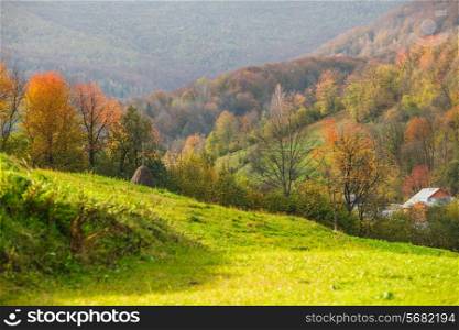 Idyllic country autumnal landscape. Field in mountains