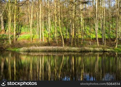 Idyllic lake in a forest with tree relfections in the quiet water in the spring