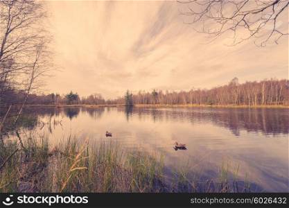Idyllic lake scenery with lure ducks in the autumn
