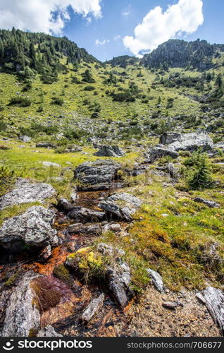 Idyllic little streamlet in the alps, mountain landscape