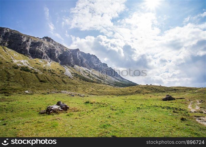 Idyllic mountain landscape in the alps: Beautiful scenery of meadow, mountains and blue sky