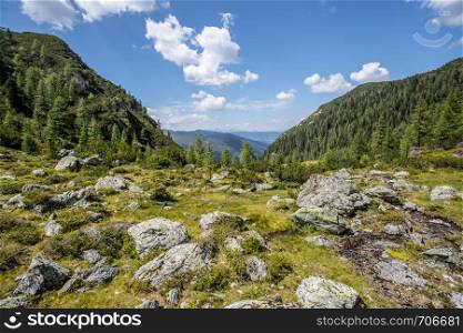 Idyllic mountain landscape in the alps: Beautiful scenery of rocks, meadow, trees, mountains and blue sky