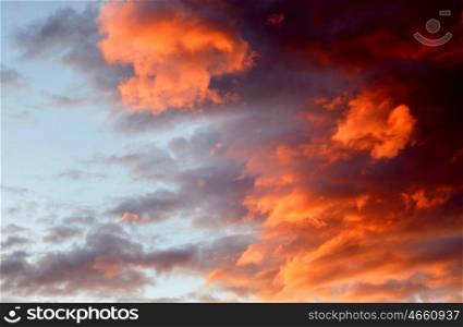 Idyllic orange sky during a nice sunset