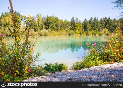 Idyllic shore landscape: Blue clear water, flowers and pebble beach