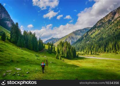 Idyllic summer landscape with hiker in the mountains with beautiful fresh green mountain pastures and forest. Concept of outdoor activities and adventure. Tian-Shan, Karakol, Kyrgyzstan.. Idyllic summer landscape with hiker in the mountains with beautiful fresh green mountain pastures and forest.
