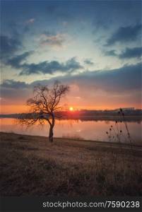 Idyllic sundown scene, steppe landscape vertical photo with a bare lone willow tree on the dry grass meadow near the pond. Silent evening mood, countryside background.
