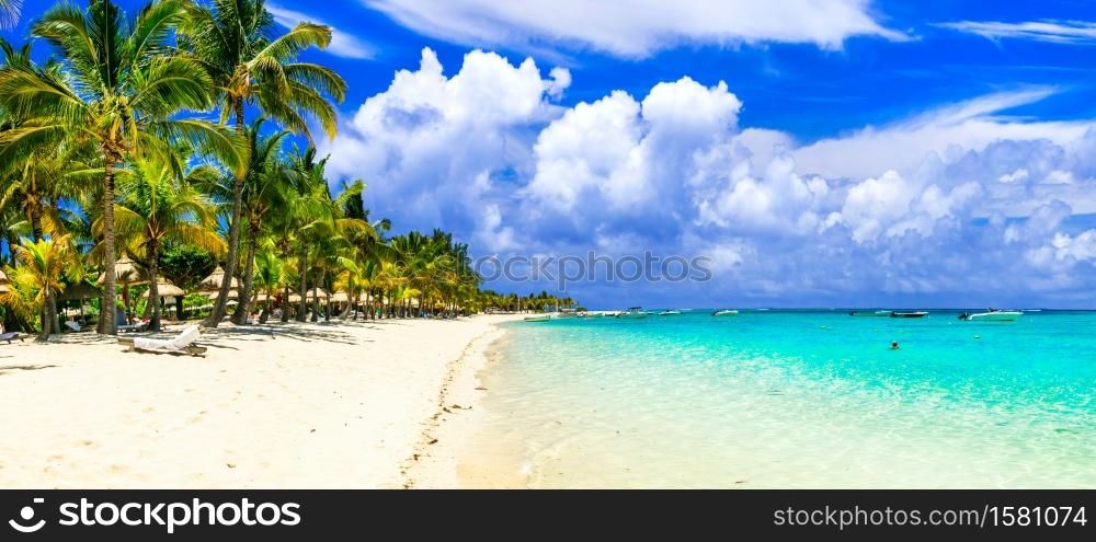 idyllic tropical beach scenery with umbrella, beach chairs and palm trees