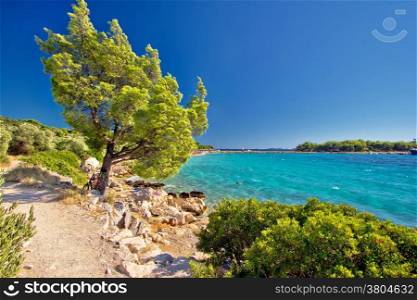 Idyllic turquoise beach in Croatia, Island of Murter, Dalmatia region