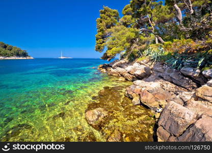 Idyllic turquoise stone beach in Cavtat, Adriatic sea, Dalmatia region of Croatia