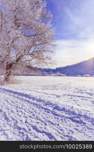 Idyllic winter landscape  snowy trees and fields, mountain range in background