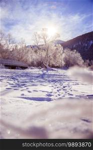 Idyllic winter landscape  wooden bridge and snowy trees, mountain range in background