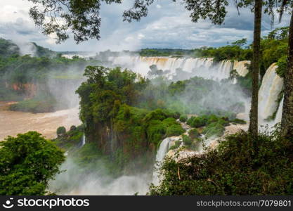 iguazu falls national park. tropical waterfalls and rainforest landscape