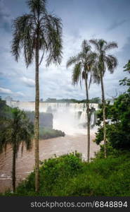 iguazu falls national park. tropical waterfalls and rainforest landscape. iguazu falls