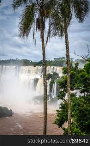 iguazu falls national park. tropical waterfalls and rainforest landscape. iguazu falls