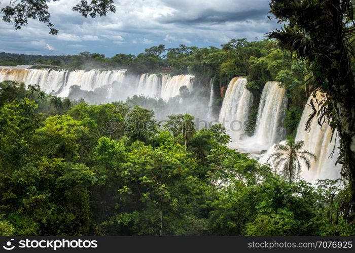 iguazu falls national park. tropical waterfalls and rainforest landscape. iguazu falls