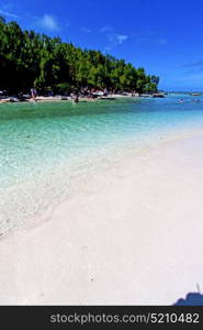 ile du cerfs seaweed in indian ocean mauritius mountain sand isle sky and rock