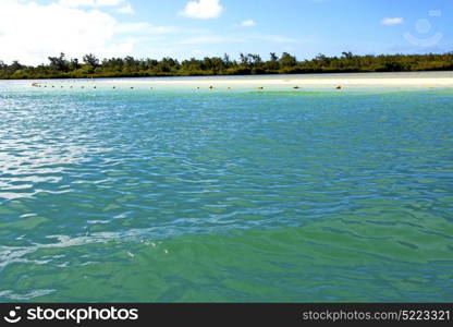 ile du cerfs seaweed in indian ocean mauritius mountain sand isle sky and rock