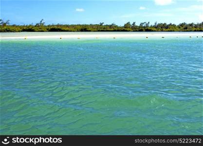 ile du cerfs seaweed in indian ocean mauritius mountain sand isle sky and rock