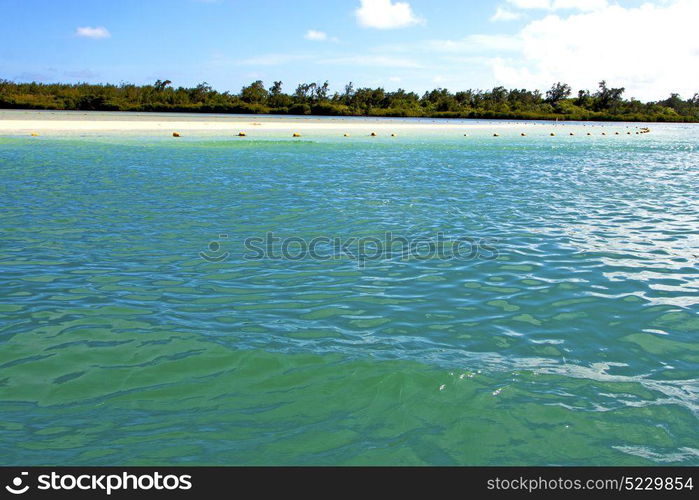 ile du cerfs seaweed in indian ocean mauritius mountain sand isle sky and rock