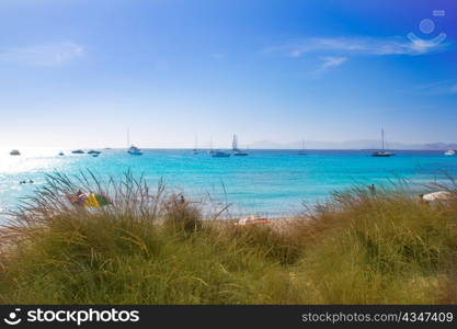 Illetes Formentera beach turquoise water with Ibiza mountains away